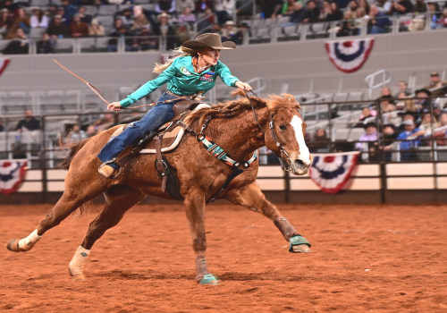 The Annual Fort Worth Stock Show and Rodeo: A Must-See Event in North Central Texas